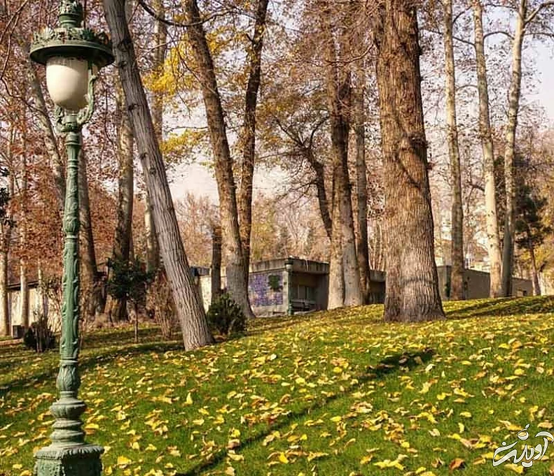 محوطه باغ نیاوران و درختان بلند باغ در پاییز